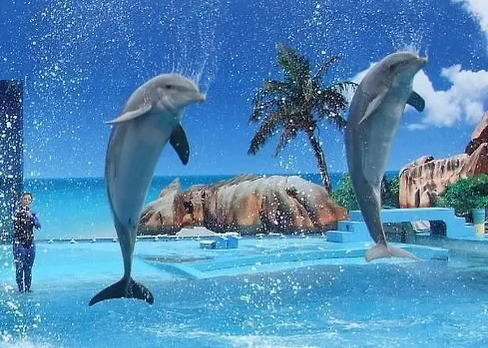 Daire Mit Terrasse By Interhome Albufeira